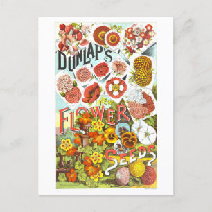 Carte Postale Graines de fleurs Dunlap Annonce Vintage