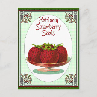 Carte Postale Graines de fraises d'Heirloom