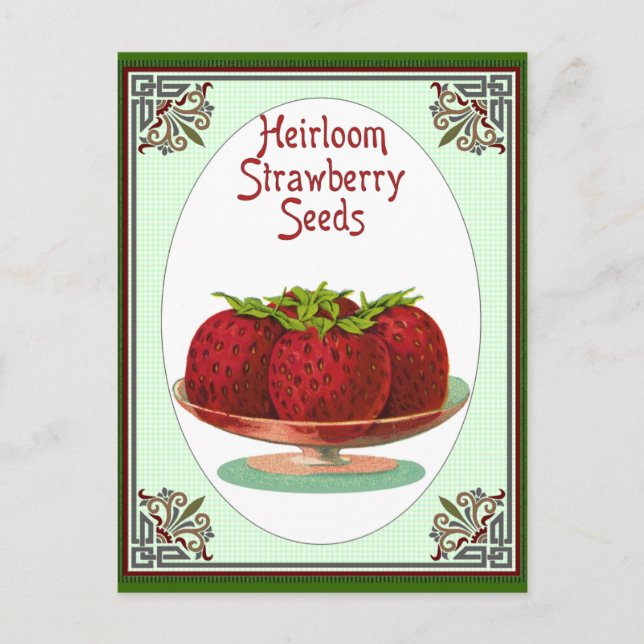 Carte Postale Graines de fraises d'Heirloom (Devant)