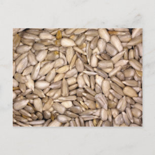 Carte Postale Graines de tournesol