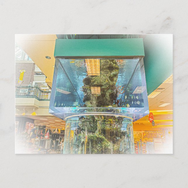 Carte Postale Grand Aquarium Cylindrique (Devant)