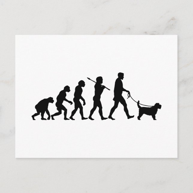 Carte Postale Grand Basset Griffon Vendeen (Devant)