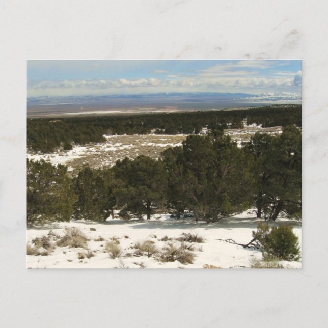 Carte Postale Grand bassin (Devant)