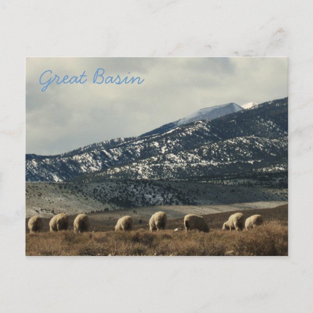 Carte Postale Grand bassin (Devant)