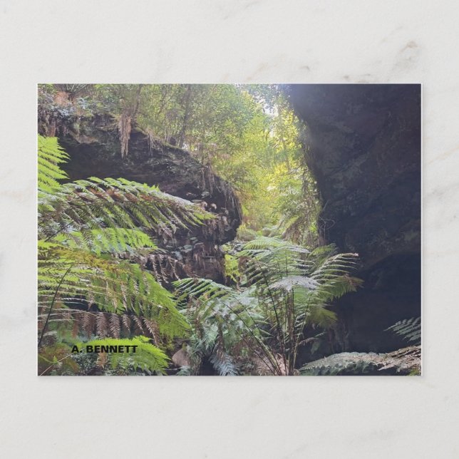 Carte Postale Grand Canyon (Devant)