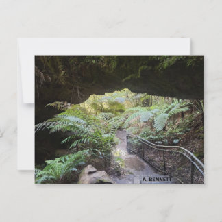 Carte Postale Grand Canyon