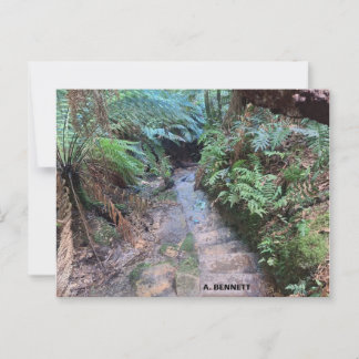 Carte Postale Grand Canyon