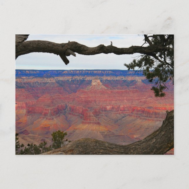 Carte Postale Grand Canyon (Devant)