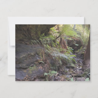 Carte Postale Grand Canyon