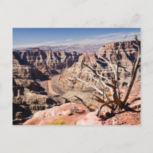 Carte Postale Grand Canyon
