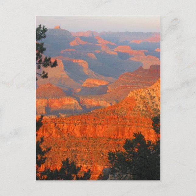 Carte Postale grand canyon (Devant)