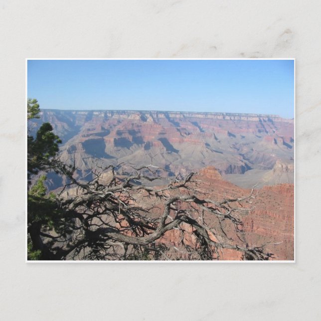 Carte postale Grand Canyon 3 (Devant)