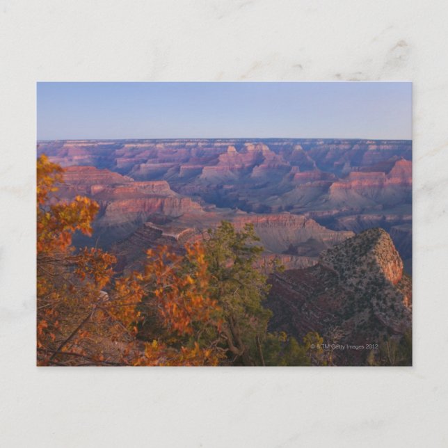 Carte Postale Grand Canyon à Sunrise (Devant)