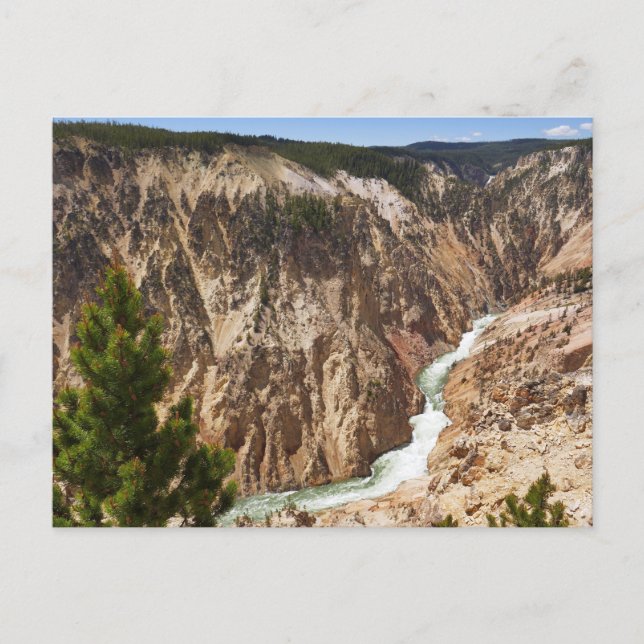 Carte Postale Grand Canyon de Yellowstone (Devant)