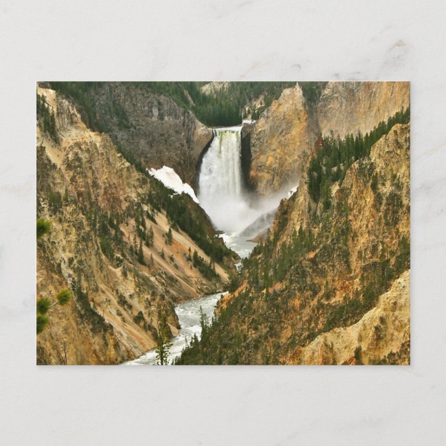 Carte Postale Grand Canyon de Yellowstone (Devant)