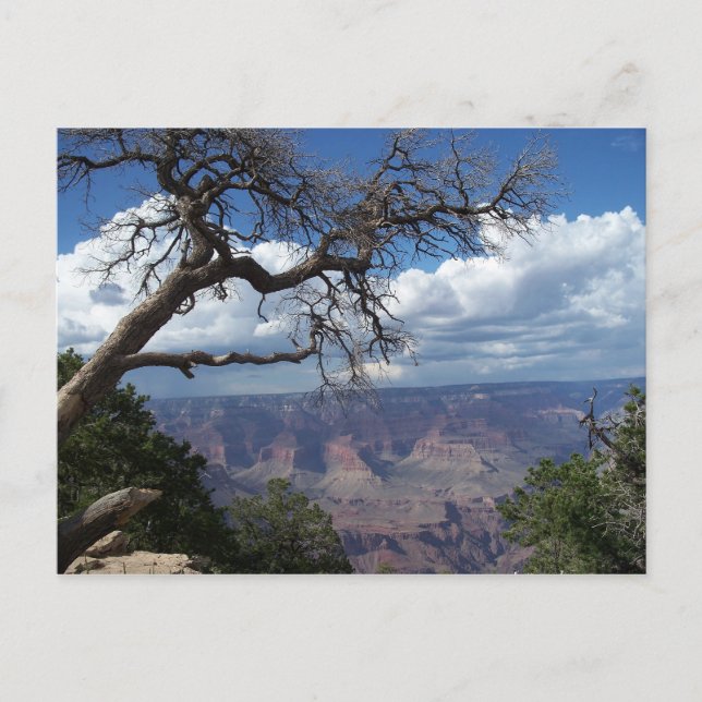 Carte Postale Grand Canyon Le désert peint Arizona PostCard (Devant)