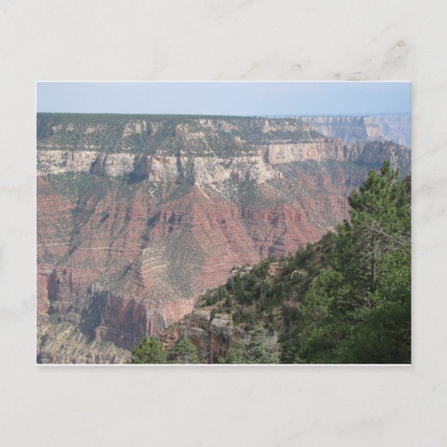 Carte Postale Grand Canyon North Rim (Devant)