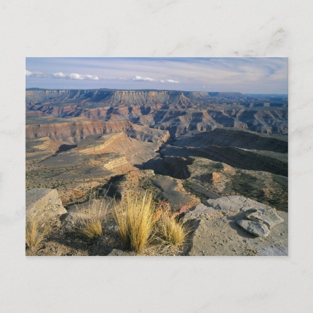 Carte Postale Grand Canyon-Parashant National Monument, 2 (Devant)