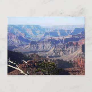 Carte Postale Grand Canyon - Rim Sud
