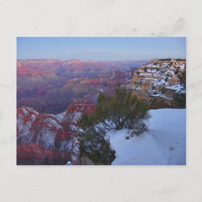 Carte Postale Grand Canyon Snow Postcard (Devant)