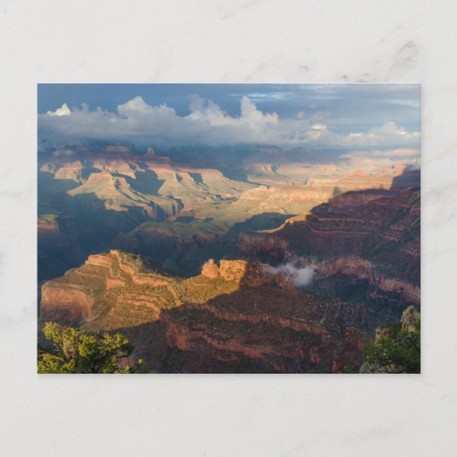 Carte Postale Grand Canyon South Rim de Powell Point (Devant)