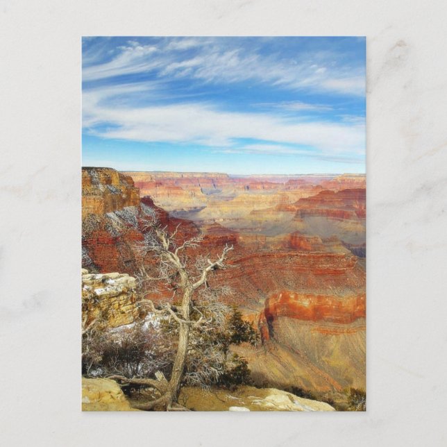 Carte Postale Grand Canyons Arizona (Devant)