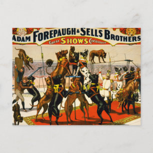 Carte Postale Grand Dane Circus