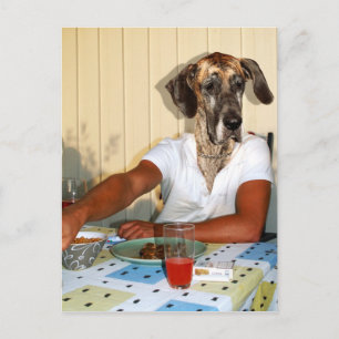 Carte Postale Grand danois