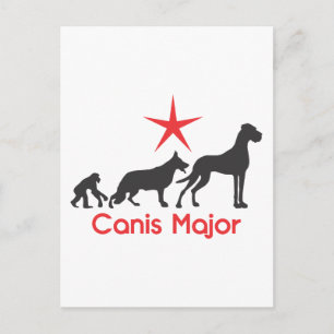 Carte Postale Grand Danois Grand Chien