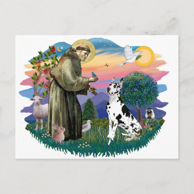 Carte Postale Grand Danois (Harlequin) (Devant)