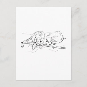 Carte postale Grand Danois, illustration de chien