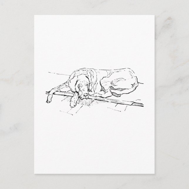 Carte postale Grand Danois, illustration de chien  (Devant)