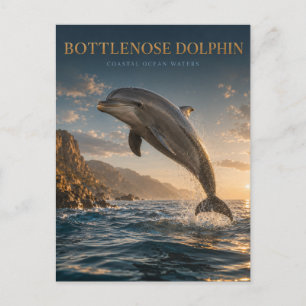 Carte Postale Grand dauphin animaux côtiers de l'océan