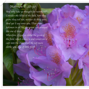 Carte Postale Grand Est Ta Foi !