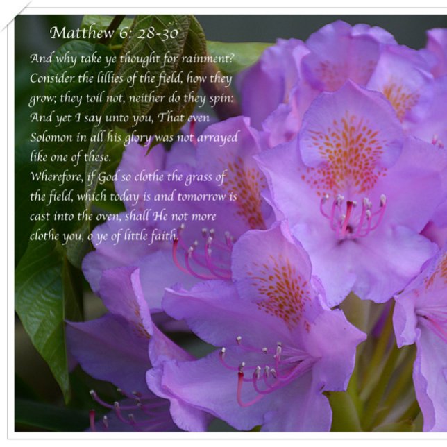 Carte Postale Grand Est Ta Foi ! (Créateur téléchargé)