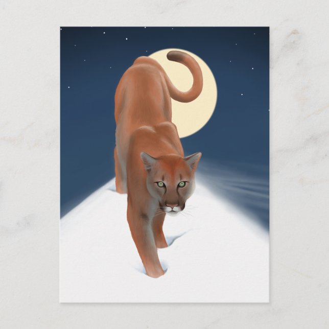 Carte Postale Grand félin dans la neige hivernale - Lion de mont (Devant)