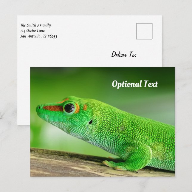 Carte Postale Grand Gecko diurne vert (Devant / Derrière)