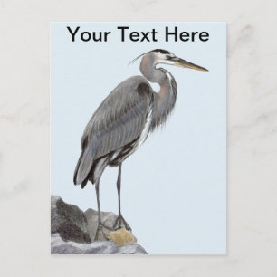 Carte Postale Grand héron bleu