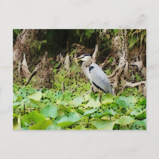 Carte Postale Grand Héron bleu