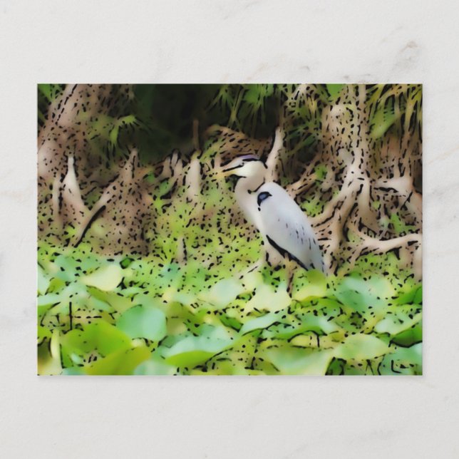 Carte Postale Grand Héron bleu (Devant)