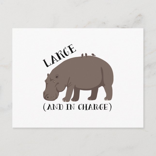 Carte Postale Grand Hippopotame (Devant)
