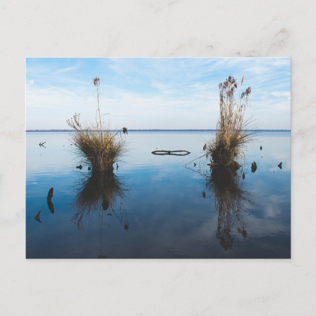 Carte Postale grand marais sombre (Devant)