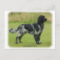 Grand Munsterlander
