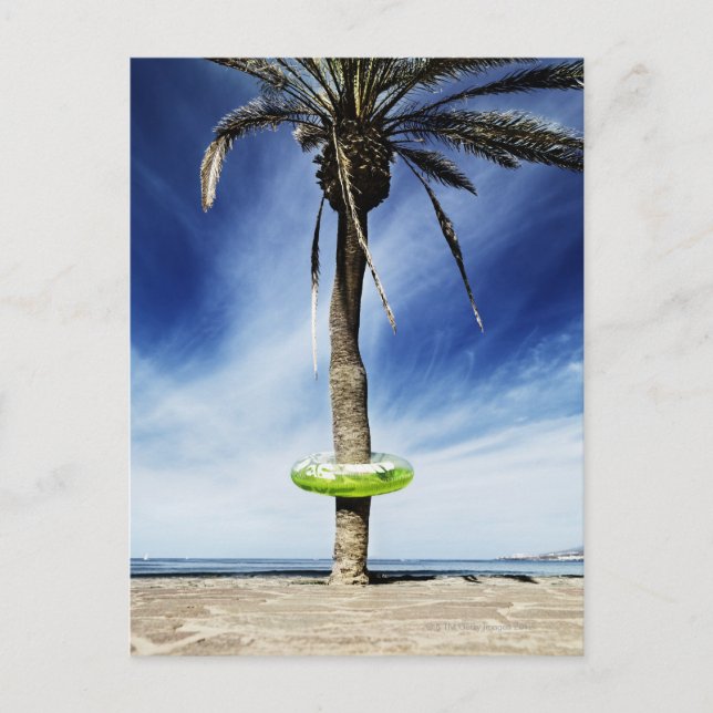 Carte Postale Grand palmier sur une plage de sable avec gonflabl (Devant)