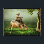 Carte Postale Grand-père Se détendre sur son Buffalo<br><div class="desc">Un magnifique paysage pittoresque aux couleurs vives et vives. Un vieil homme perché sur un buffle / vache qui broute paisiblement dans un champ entouré d'herbe verdoyante et de collines brumeuses dans l'arrière - plan. Photo prise en Indonésie.</div>