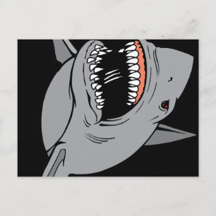 Carte Postale Grand requin blanc