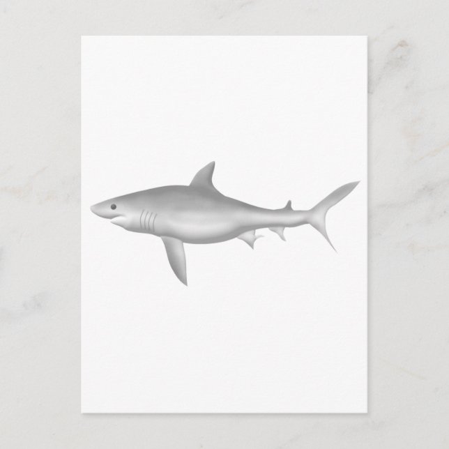 Carte Postale Grand requin blanc (Devant)
