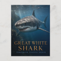 Grand requin blanc Animaux de l'océan côtier