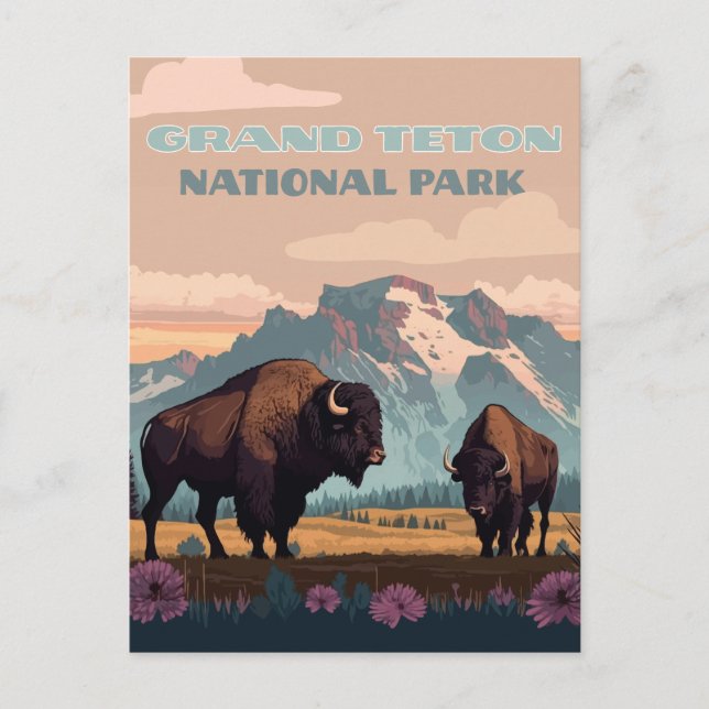 Carte Postale Grand Teton National Park Jackson Wyoming Mountain (Devant)