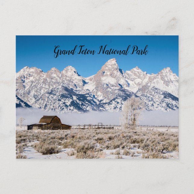 Carte Postale Grand Teton NP (Devant)